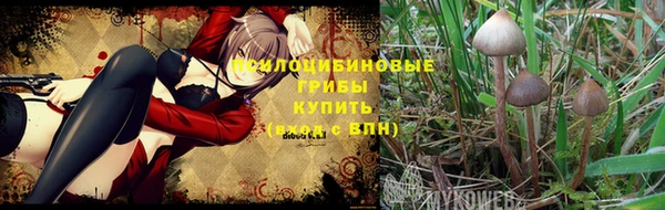 трава Нефтегорск