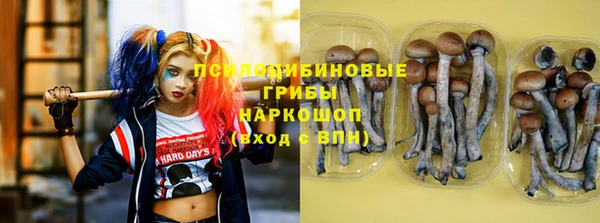 марихуана Новозыбков
